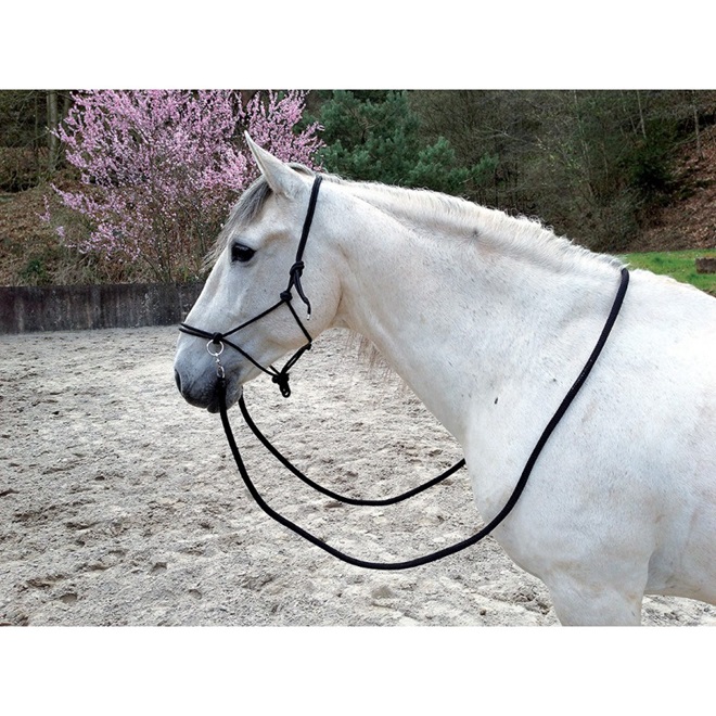 BRIGLIA-CAPEZZA BITLESS "Ethologica"l CON REDINI Bitless 